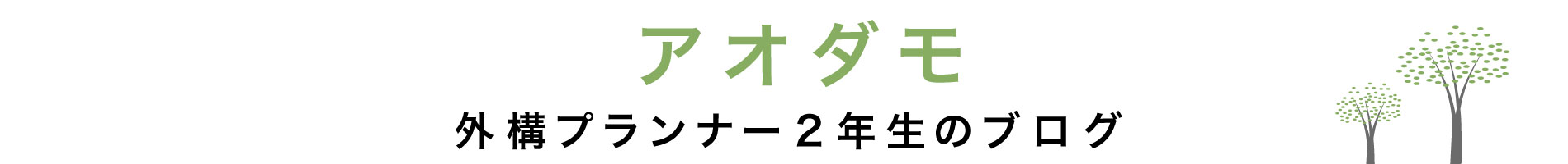 アオダモ｜外構プランナー2年生のブログ